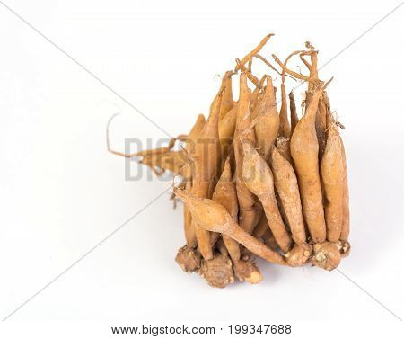 Finger Root Isolated On White Background,useful For  Thai Herbs,spices And Food Ingredient
