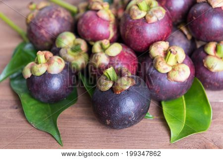 Fresh Mangosteen Fruie On Wood Table  Background,queen Of Fruit In Thailand,cold Fruit