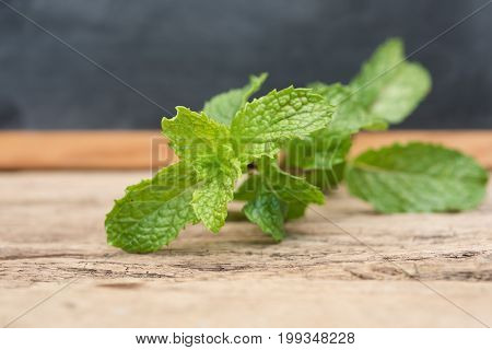 Fresh Green Mint Leaf On Old Wood Background