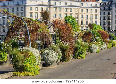 Geneva, Switzerland, 24 September, 2016: plants on Pont des Bergues bridge. Pont des Bergues is a bridge over the Rhone river in the city of Geneva, Switzerland.