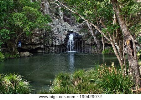 Waterfall In Kondalilla National Park
