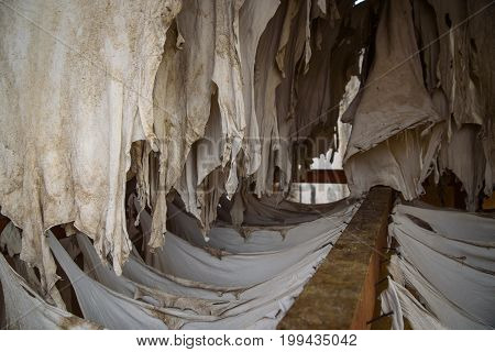 Old Tannery In Fez, Morocco
