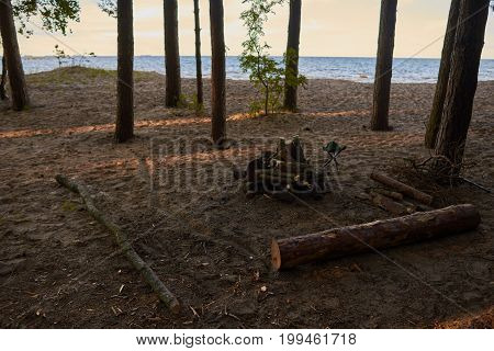 Calm and tranquil morning scene outdoors in forest with river or sea in background. Firewoods among trees waiting for someone to set camp fire. Wilderness nature camping and adventure concept