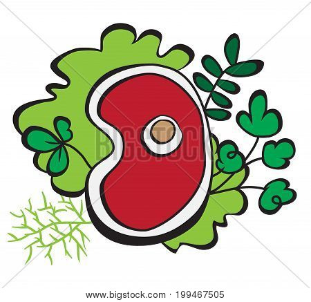 Raw Steak on green salad leaf with prigs of spicy herbs
