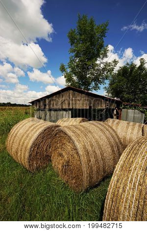 Big straw bales under blue sky in summer