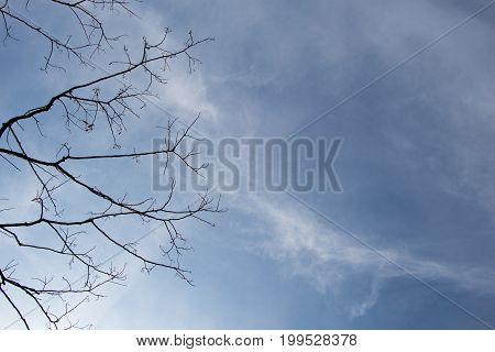 Photo Of Bright Tender Offshoot Of A Tree Growing