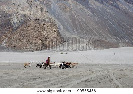 Landscape around Hunder Sand dunes in Nubra Valley, Ladakh, India