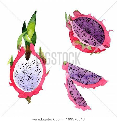 Exotic pitaya healthy food in a watercolor style isolated. Full name of the fruit: pitaya. Aquarelle wild frukt for background, texture, wrapper pattern or menu.