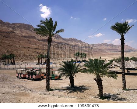 A hot desert. Against the backdrop of the sandy mountains and the blue sky is a green man-made oasis. It is an island of relaxation and enjoyment of SPA Ein Gedi.