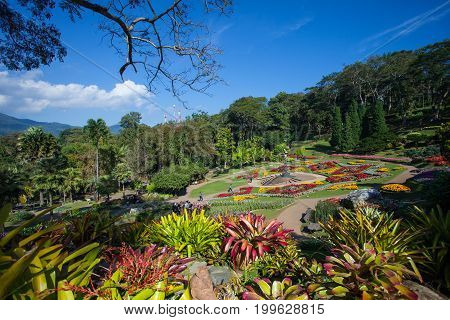 Mae Fah Luang Garden,Chiang Rai Province, Thailand.