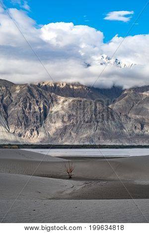 Landscape around Hunder Sand dunes in Nubra Valley, Ladakh, India