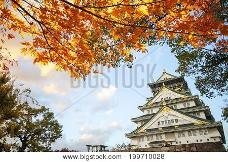 Beautiful Osaka Castle In Osaka With Nice Background, Japan