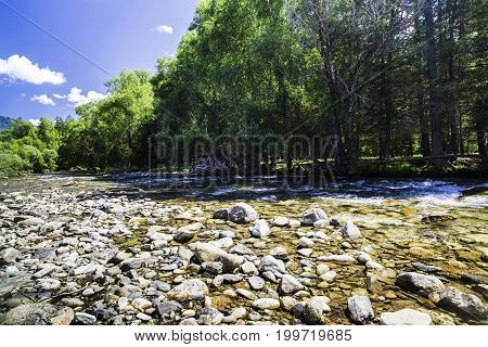 Russia, the Altai Republic, a shallow mountain river, among the round stones