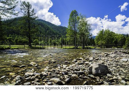 Russia, the Altai Republic, a shallow mountain river, among the round stones