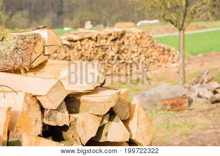 Timber logs stacked on an outdoors lumberyard