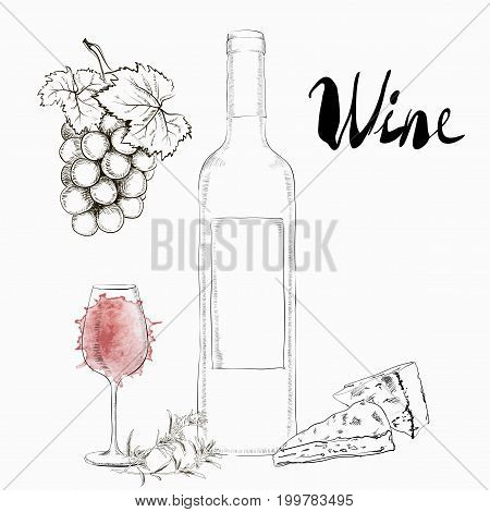Hand Drawn Illustration Wine Glass and Bottle With a bunch of grapes and cheese
