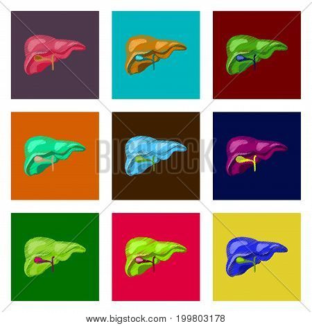 assembly of flat shading style icon liver