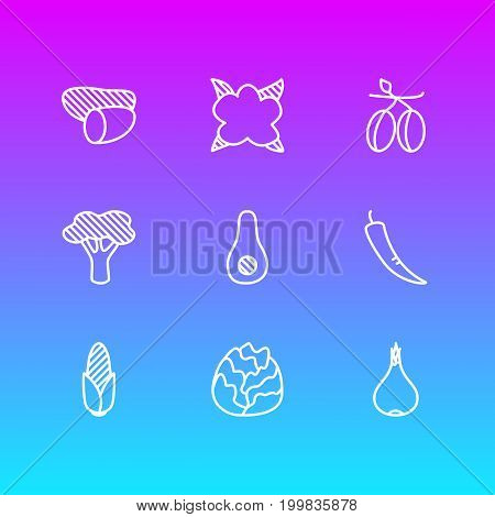 Editable Pack Of Garlic, Cole, Cauliflower And Other Elements.  Vector Illustration Of 9 Vegetables Icons.