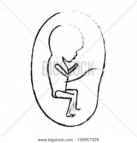 monochrome blurred silhouette of side view fetus human growth in placenta trimestrer vector illustration