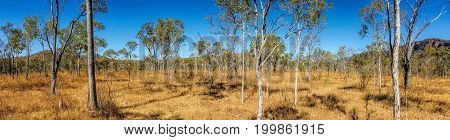 outback Australia in the dry season panorama view