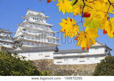 Beautiful Himeji Castal In The Fall Season, Japan