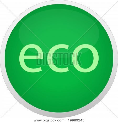에코 아이콘