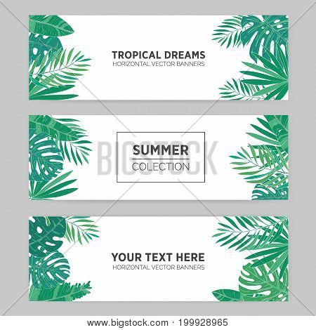 Set of summer horizontal banners with tropical leaves, monstera, banana, chamaedorea and other palms. Template for advertising production. Background with place for text