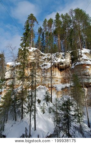 Formations caused by karst with winter taiga forest. Arhangelsk region. Russia