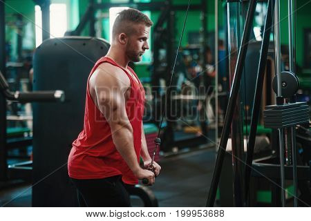 Man In Gym Doing Exercise For Triceps In The Gym