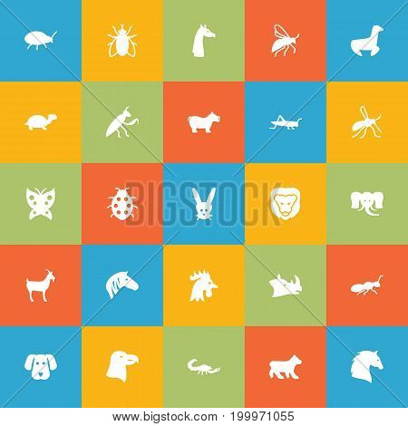 Collection Of Rooster, Livestock, Gnat And Other Elements.  Set Of 25 Zoo Icons Set.