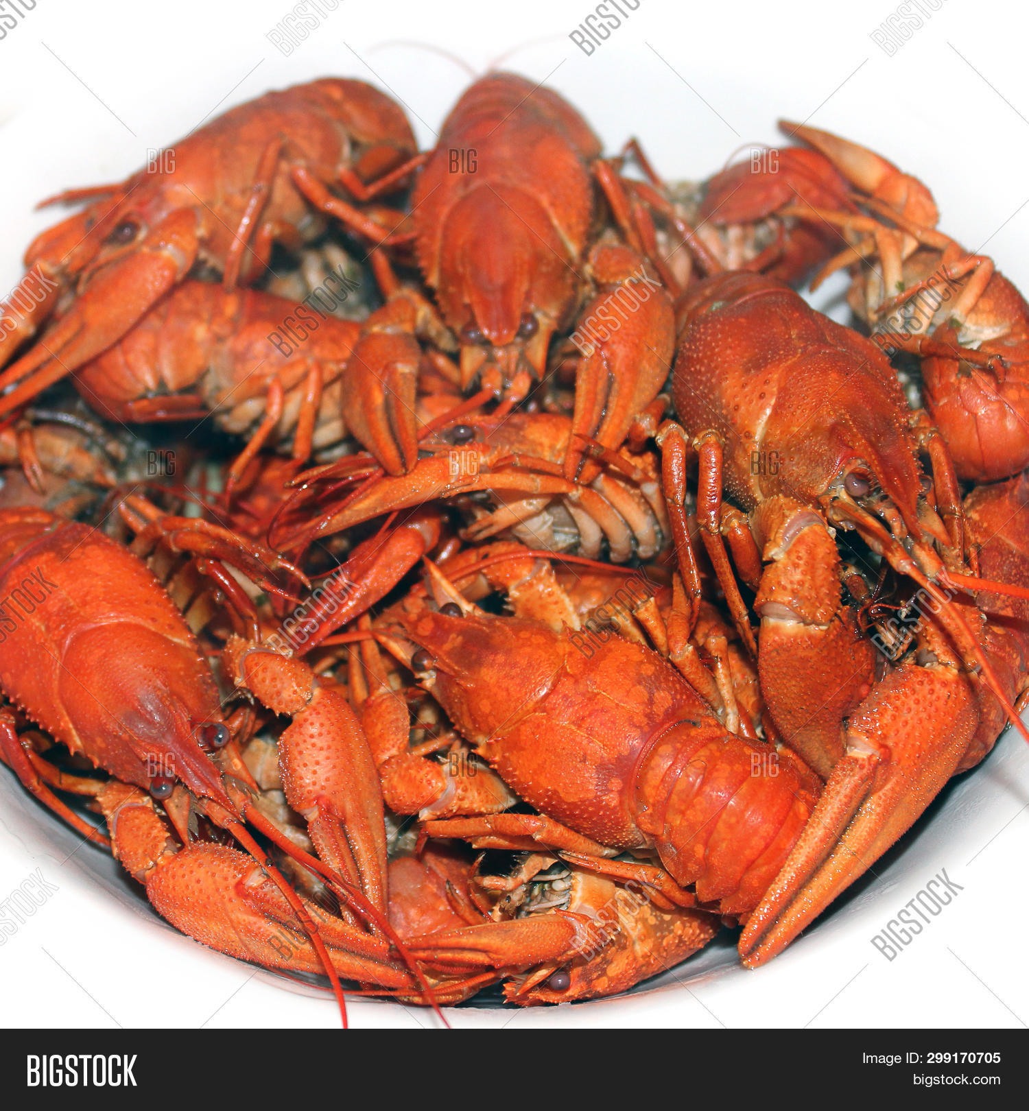 Boiled Crayfish On Image Photo Free Trial Bigstock Boiled Crayfish On Image Photo Free Trial Bigstock