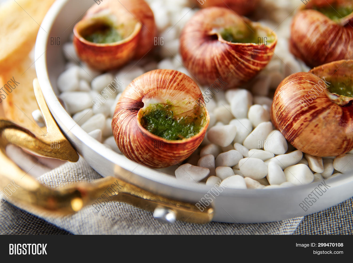 Escargot Snails Garlic Image & Photo (Free Trial) Bigstock