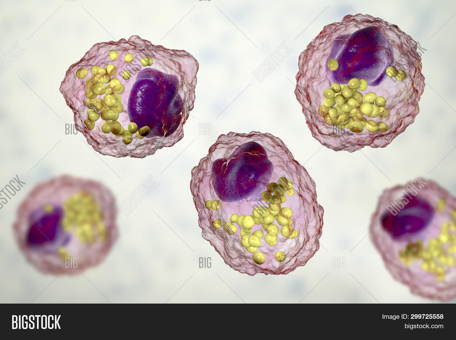 Imagen y foto Foam Cell, (prueba gratis) Bigstock