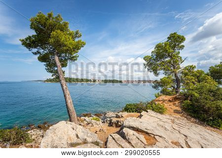 Coastal Line In Croatia: Strong Green Tea, Blue Ocean And Sky