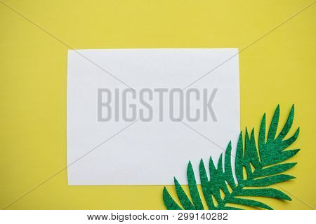 White Sheet Of Paper For Text And Next To A Felt Sheet Of Fern On A Yellow Background. Summer Design