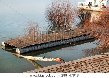 Pontoon Raft. The Pontoon Raft On The River. In The Winter Morning Sun River Birds Enjoy A Sunny Day