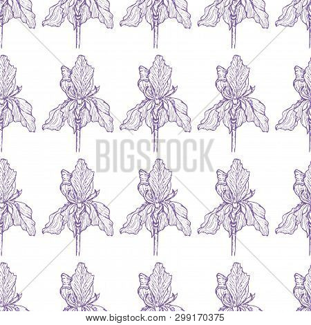 Flower Iris Pattern Gently Purple Vector Illustration
