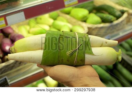 Dikon Wrapped In Banana Leaf And Held In Female Hands. This Is An Excellent Solution How Replace Pla