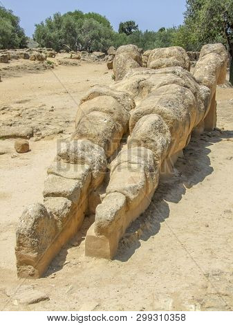 Around Olympeion Field Near A City Named Agrigento Located In Sicily, Italy