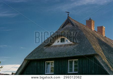Houses On The Fischland-darß With A Thatched Roof