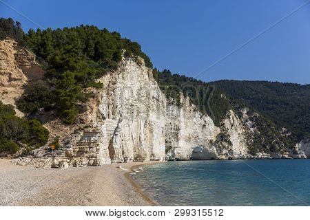 High White Cliffs Of Vignanotica Beach In Apulia Region, Italy