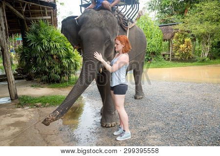 Red-haired Girl Stroking An Elephant. After Walking Through The Jungle