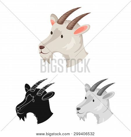 Vector Illustration Of Dog And Face  Icon. Set Of Dog And Puppy  Vector Icon For Stock.