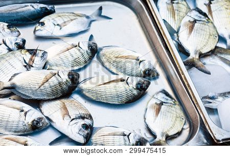 Fresh Fish For Sale In The Fish Market Pescheria Of Catania, Sicily, Italy