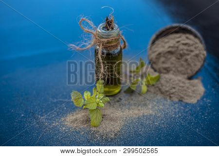 Ayurvedic Herb Brahmi Or Waterhyssop Oil In A Small Transparent Glass Bottle Along With Its Powder O