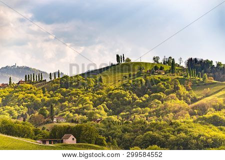 Austria Vineyards Sulztal Leibnitz Area South Styria, Wine Country. Sunny Landscape Of Famous Touris