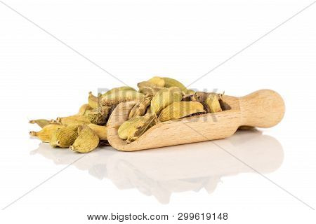 Lot Of Whole True Cardamom Pod With Wooden Scoop Isolated On White Background