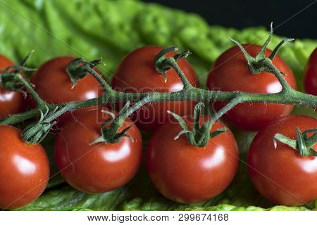 Juicy Red And Bright Tomatoes On Lettuce Leaves