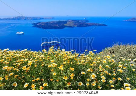 Santorini, Greece Spring Panoramic Blue Sea View With Flowers To Caldera, Volcano Island And Cruise 