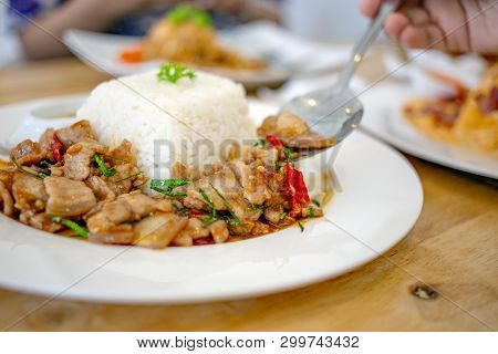 Spicy Fried Pork Thai Food With Herb Serve